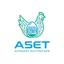 ASET Logo
